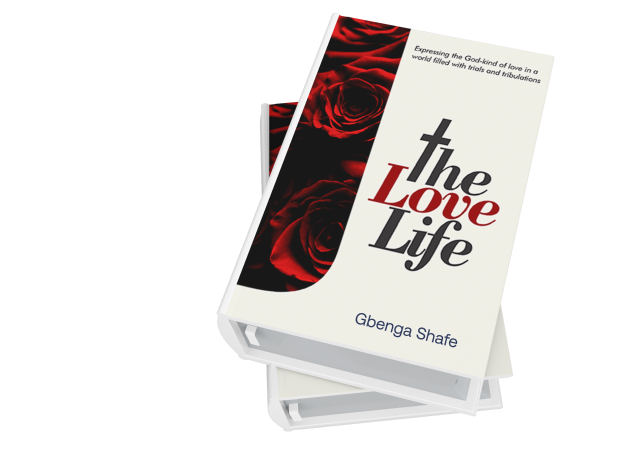 The Love Life book picture